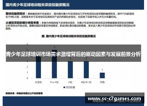 青少年足球培训市场需求激增背后的驱动因素与发展前景分析