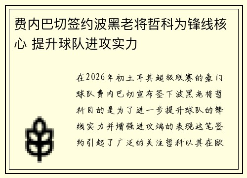 费内巴切签约波黑老将哲科为锋线核心 提升球队进攻实力